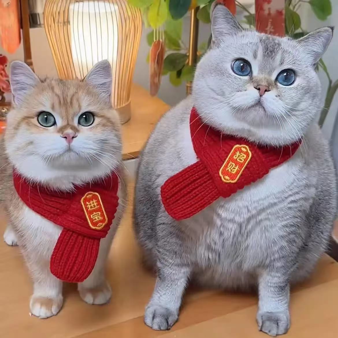 宠物猫咪围脖口水巾狗狗围脖配饰装饰红色可爱毛线保暖针织喜庆