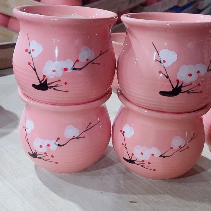 多肉植物陶瓷花盆