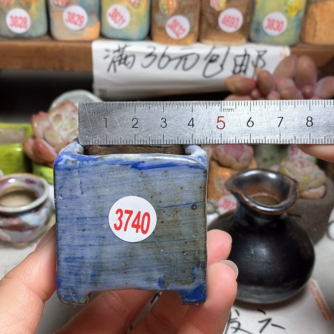 红陶拍5送一个小