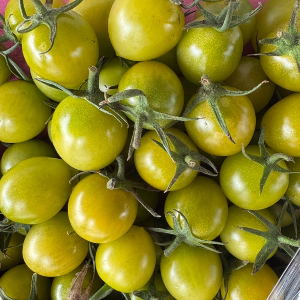 《顺丰包邮》青田小柿子 2斤天津市