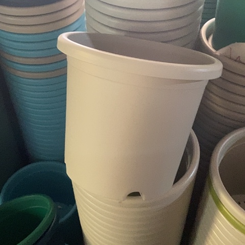 树脂四季4号微瑕灰白无托8个