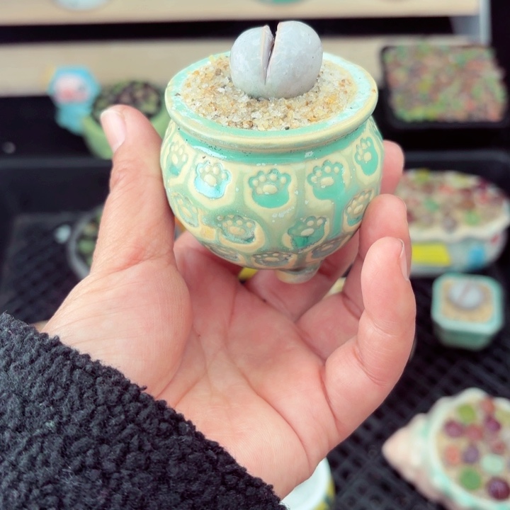 536零下地区记得拍保温箱满18包邮