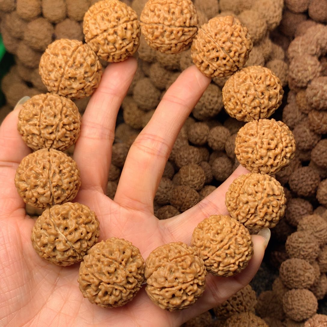 木8瓣爆肉卡26尺寸，31号