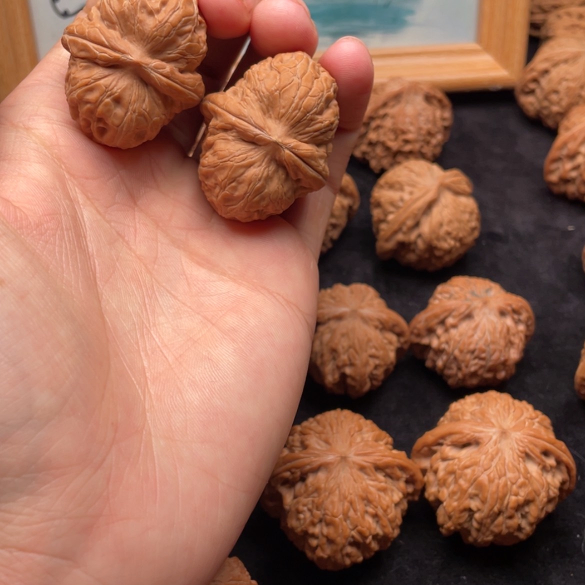 【闪购商品】文玩核桃把件黄尖元宝