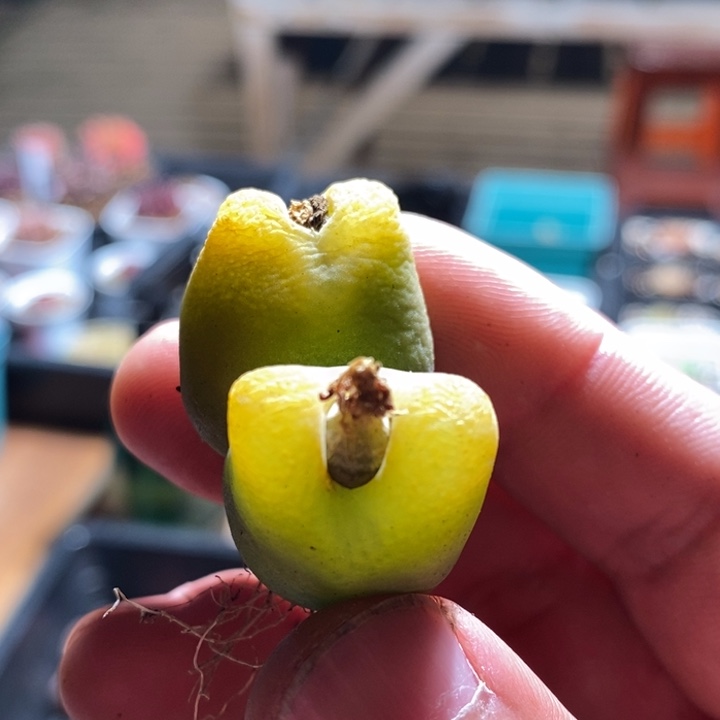 4146一个一个一个