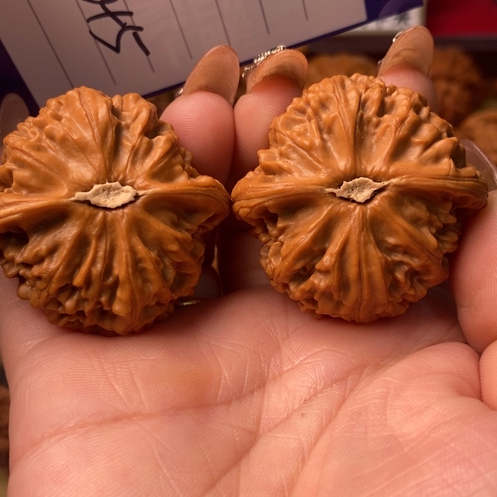 ˢ***把件桃核精品大宫灯