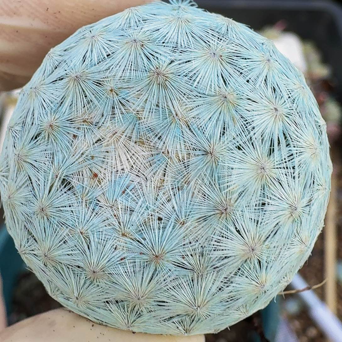 ?****ღ哈哈哈哈哈哈哈哈哈哈哈哈