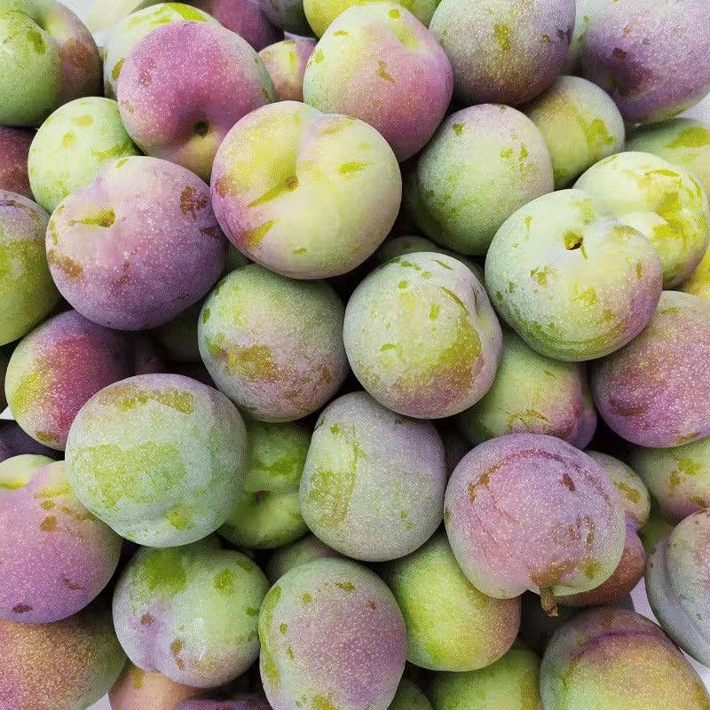 顺丰快递【今天拍明天到】四川脱骨李子当季新鲜青脆李红茵红脆红水果空心半边红李子同城送广西广东四川省