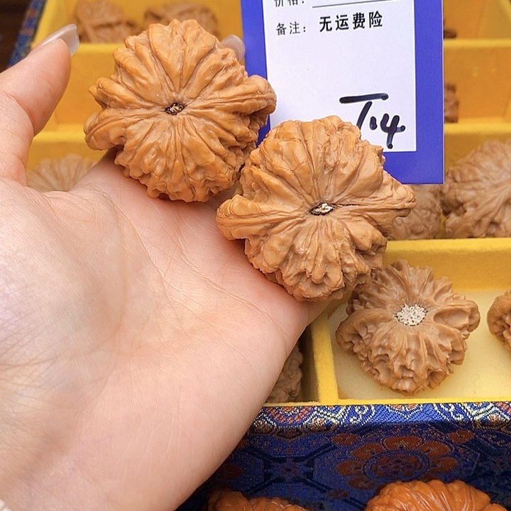 有****文玩核桃把件文玩核桃龙鼎14
