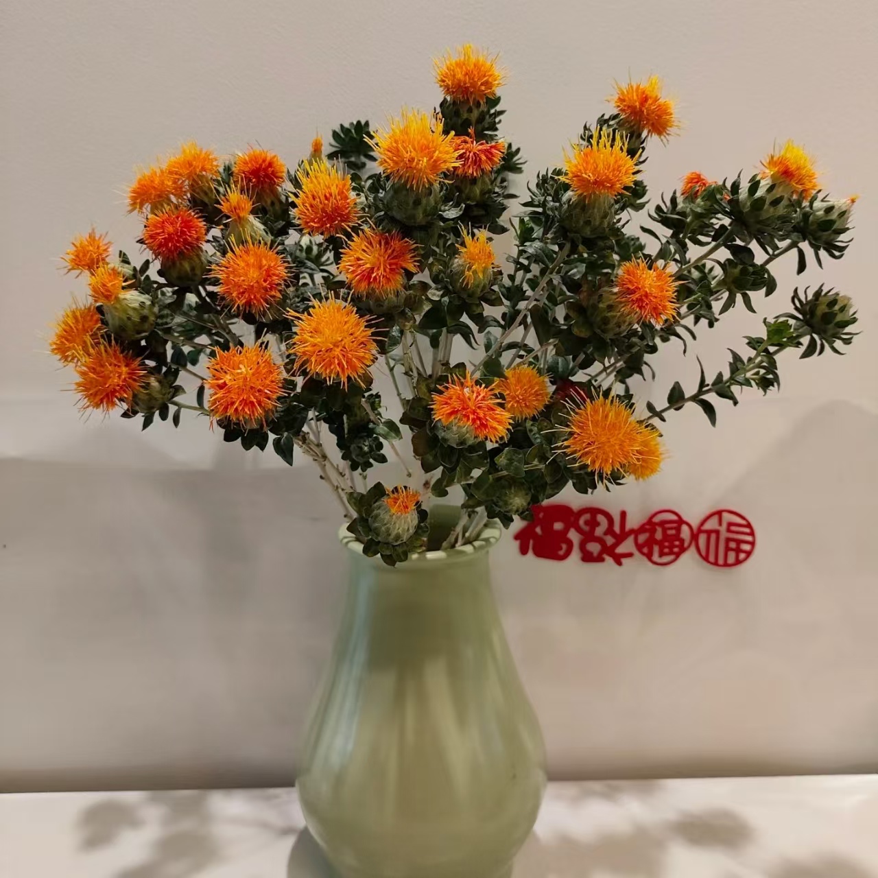 橙菠萝鲜切花花期长 云南鲜花花瓶水养鲜切花客厅装饰鲜花