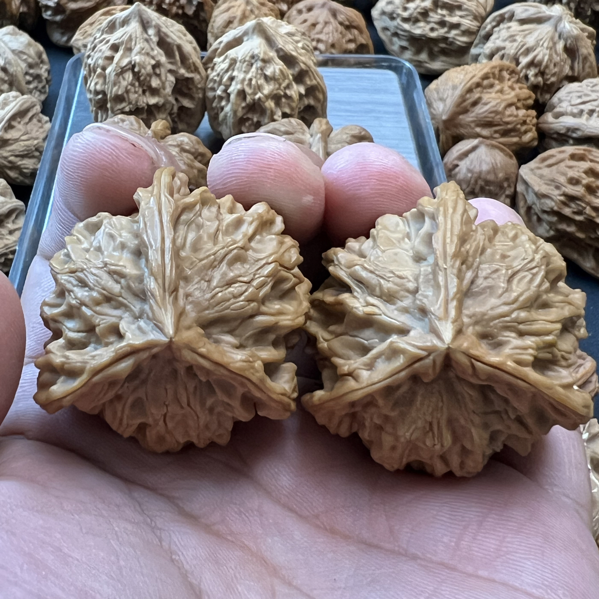 盘山三愣，全品，尺寸41. 矮桩，喜欢的来