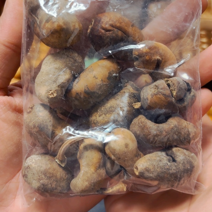 秋**夏丑串88888888888888888