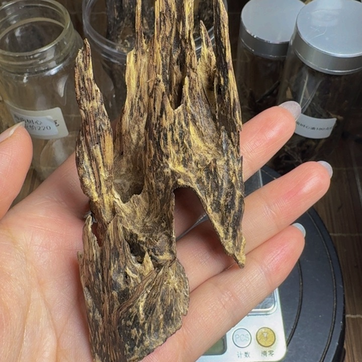 沉香沉香枕海南吊齿13克