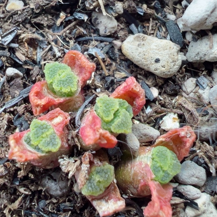 291干11111111111111