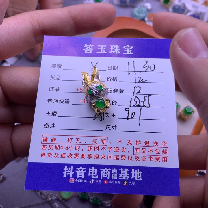 颈饰未镶嵌翡翠y****o