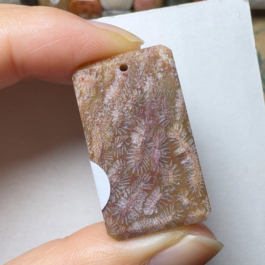 硅化玉虫纹未镶嵌