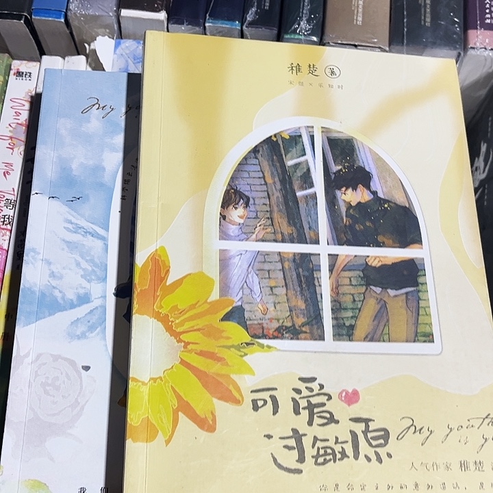 可爱过敏原全新全套两本带周边