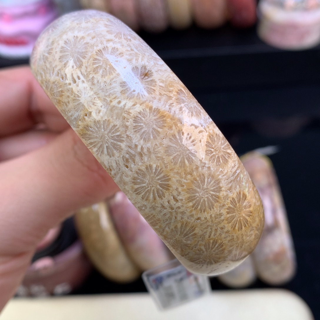 硅化珊瑚（珊瑚玉）未镶嵌颈饰41号58.8圈骨骼爆闪大花