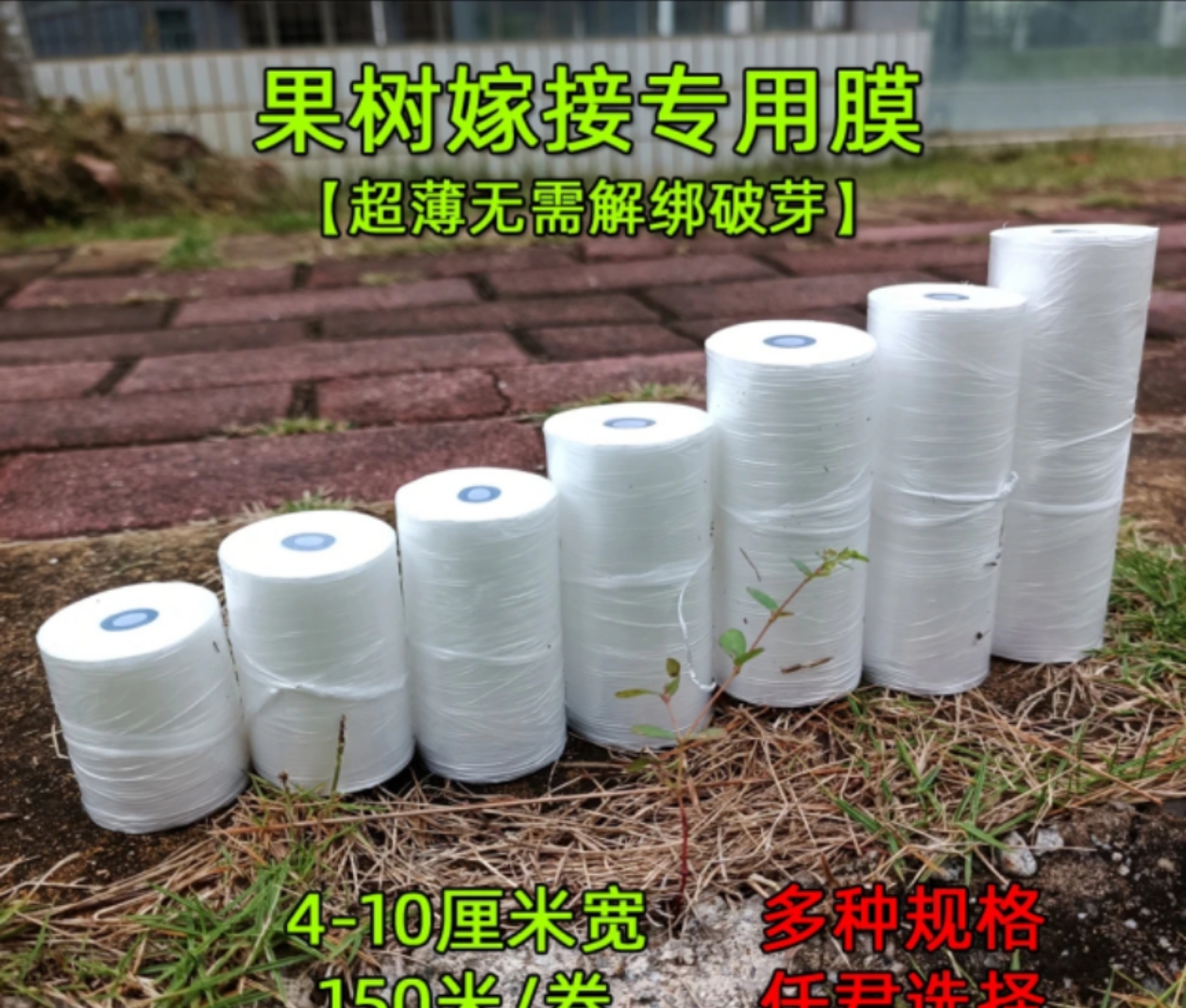 果树嫁接膜大卷打包封口