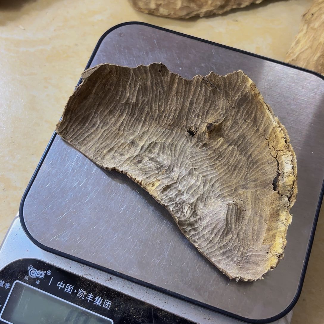 沉香沉香碎屑夏海南沉香10克