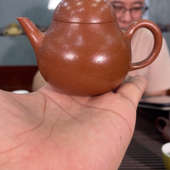 茶壶紫砂哈哈哈哈哈这个综艺节目真的是太棒啦