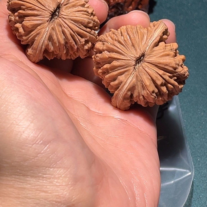 文玩核桃把件足***”43楼子绝对