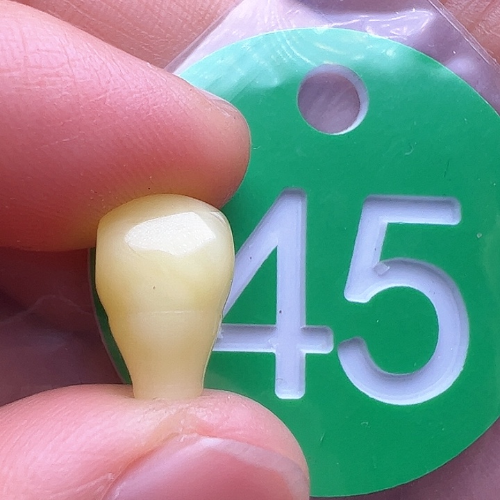 蜜蜡裸石未镶嵌8m m