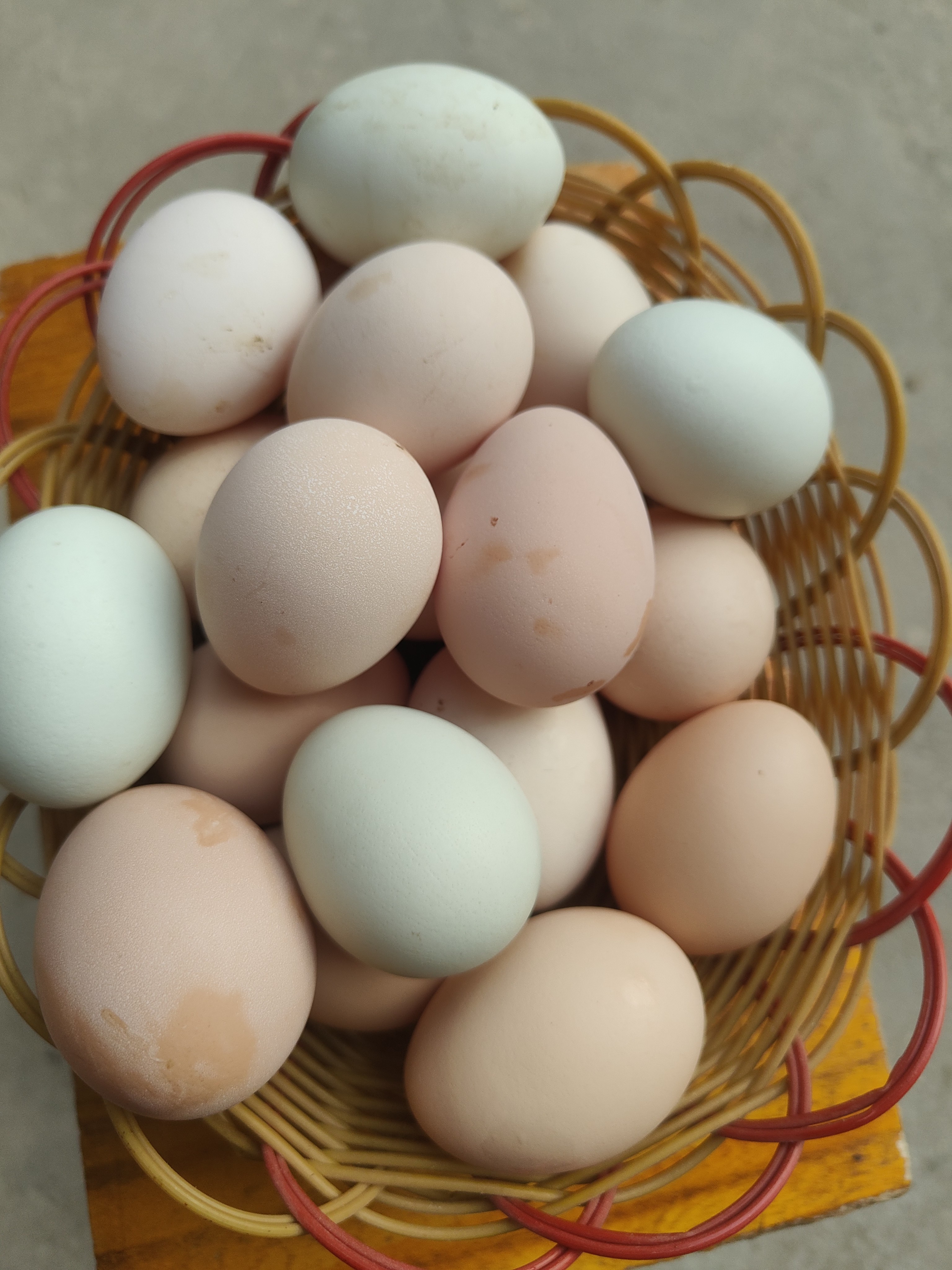 ［好蛋蛋］农村自家喂养柴鸡蛋