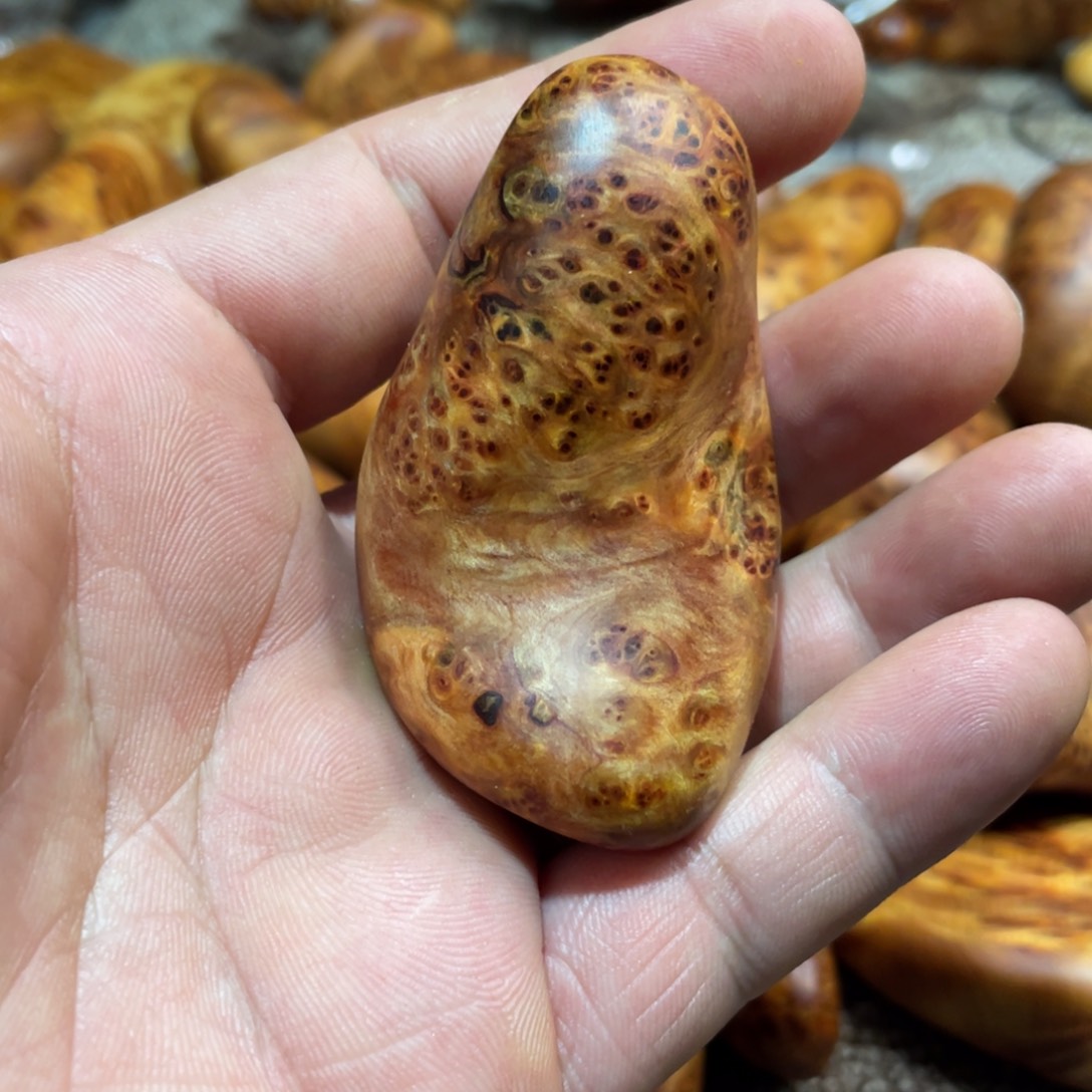 柏木（崖柏）其他把