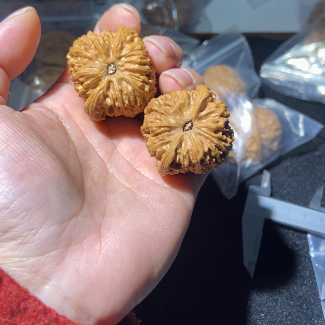 吊坠文玩核桃龟背南疆55