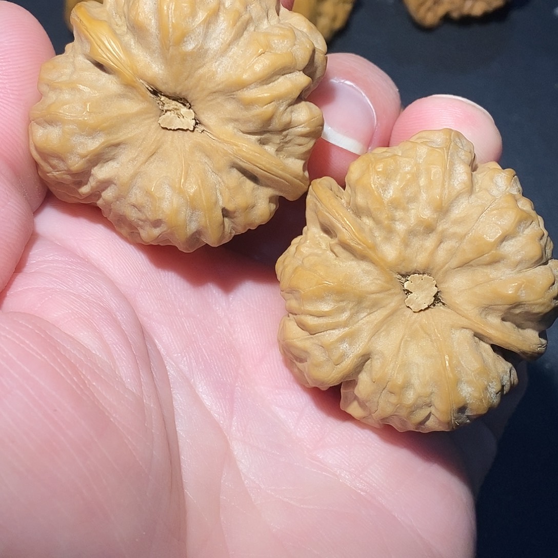 枝***.吊坠文玩核桃枝oh