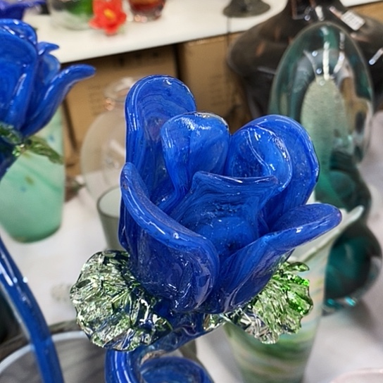 琉璃蓝色妖姬琉璃夜光花