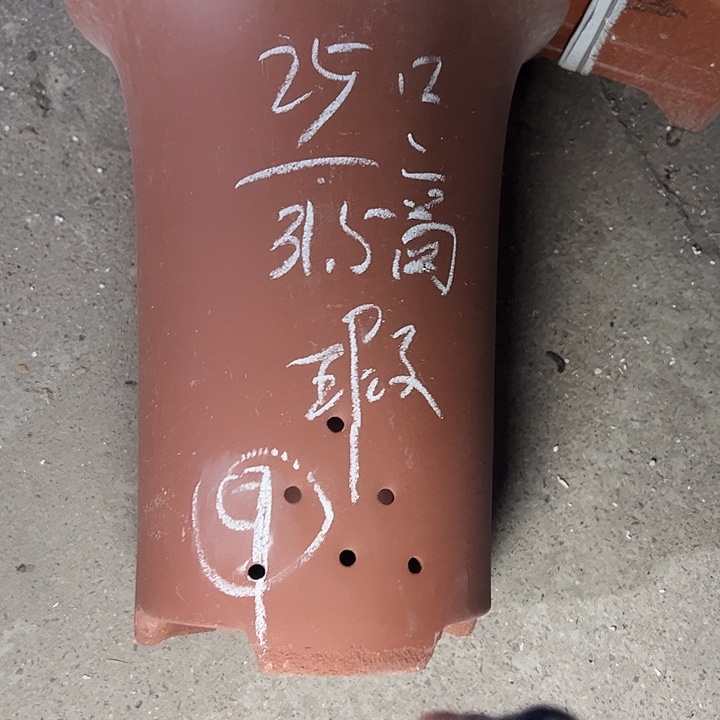 周三周四再说再说数学 