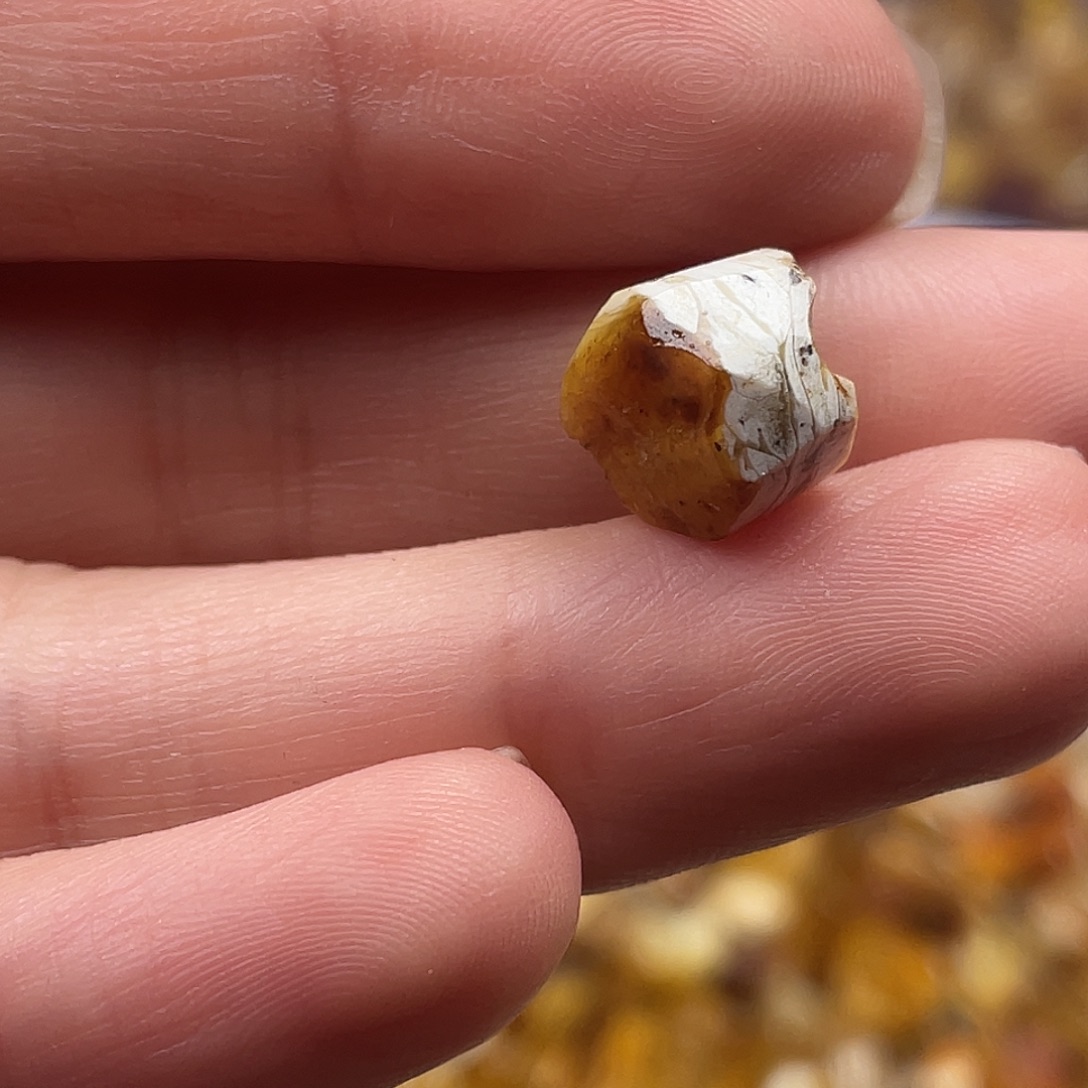 –***y定制琥珀蜜蜡老型