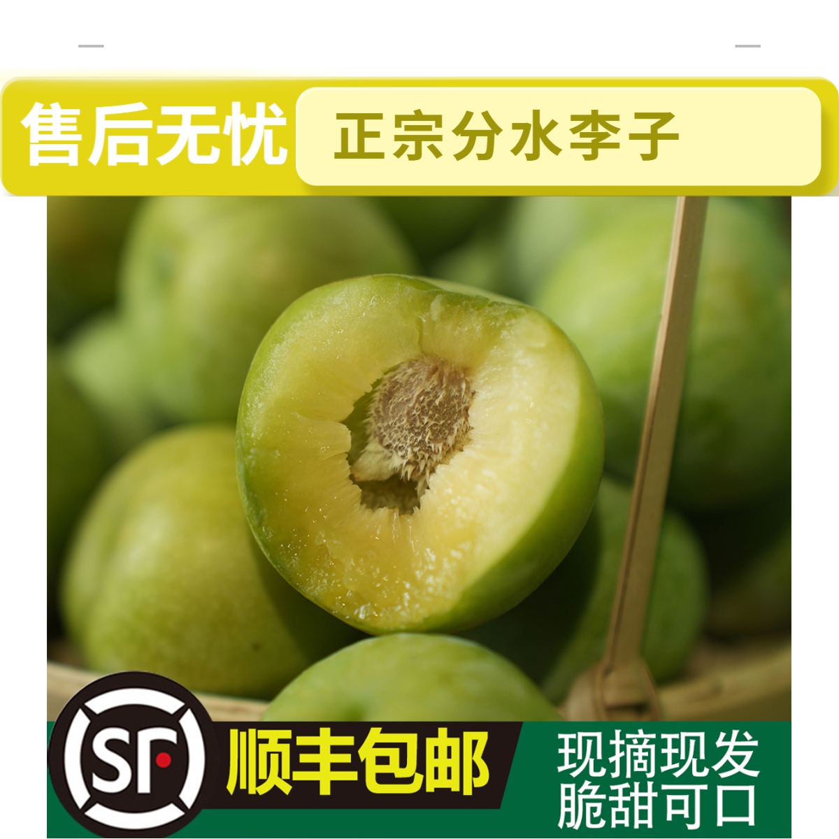 正宗四川无骨李产地直发单果都完美酸甜可口