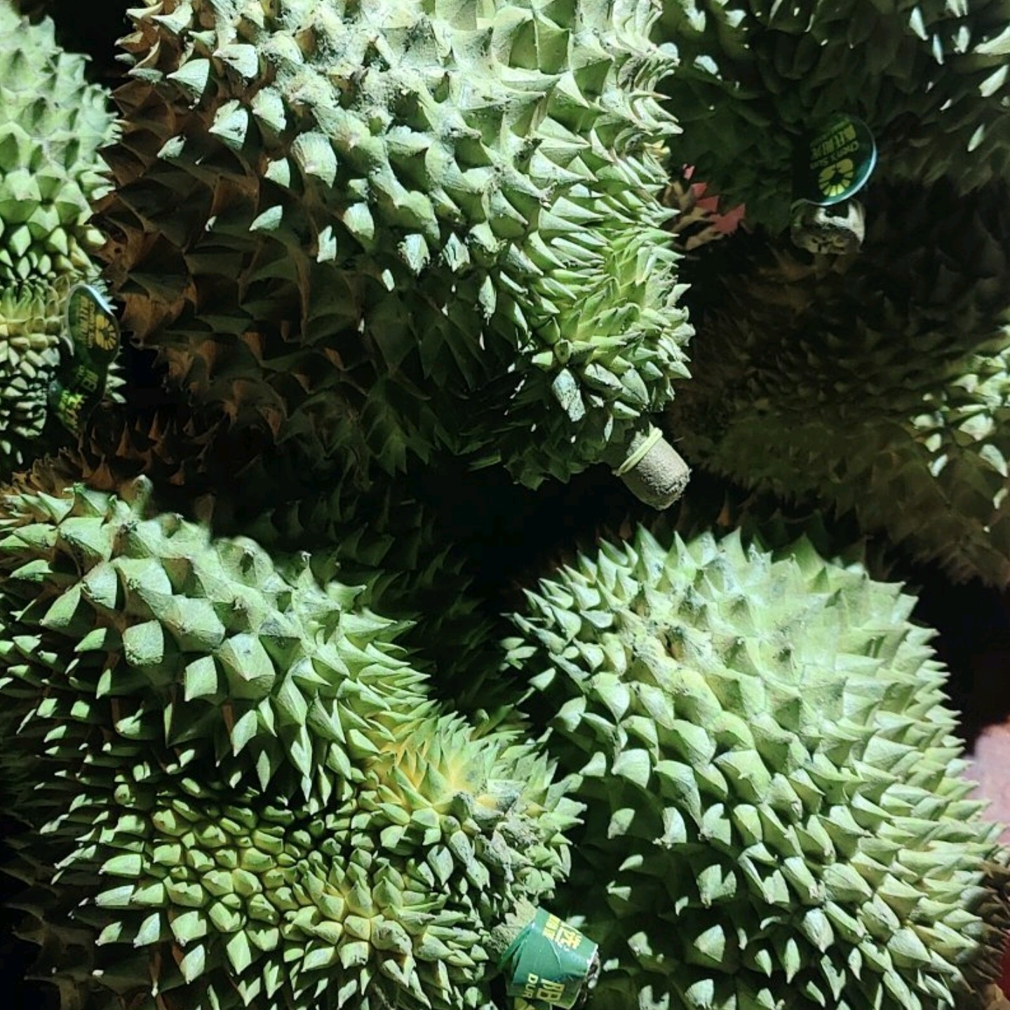 泰国金枕榴莲皮薄肉厚核小3.8斤到4.5斤一只新鲜热带水果整个带壳鲜果金枕泰国