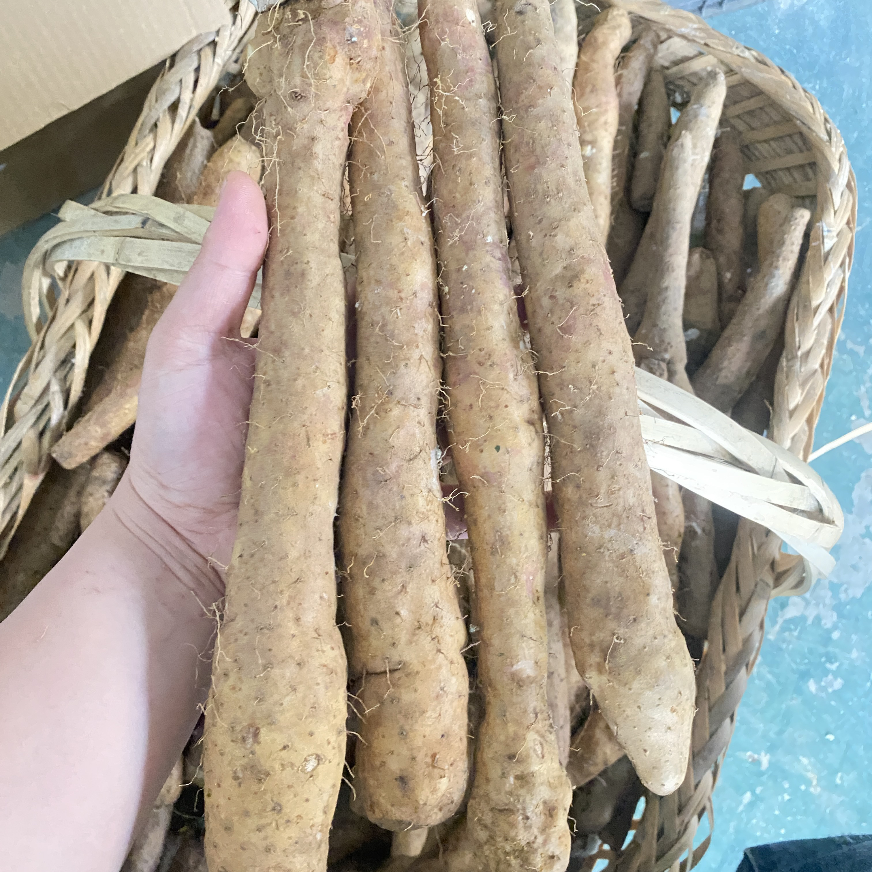 贵州特产山里现挖现发新鲜山药铁棍山药口感细腻软糯蒸煮炒炖食用