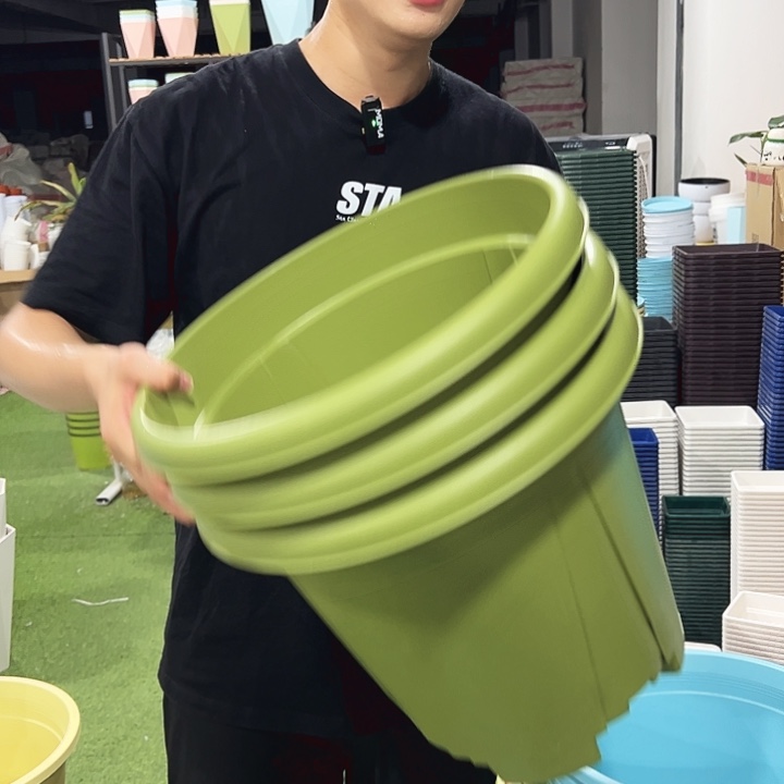 青山口40高34果绿无托3只