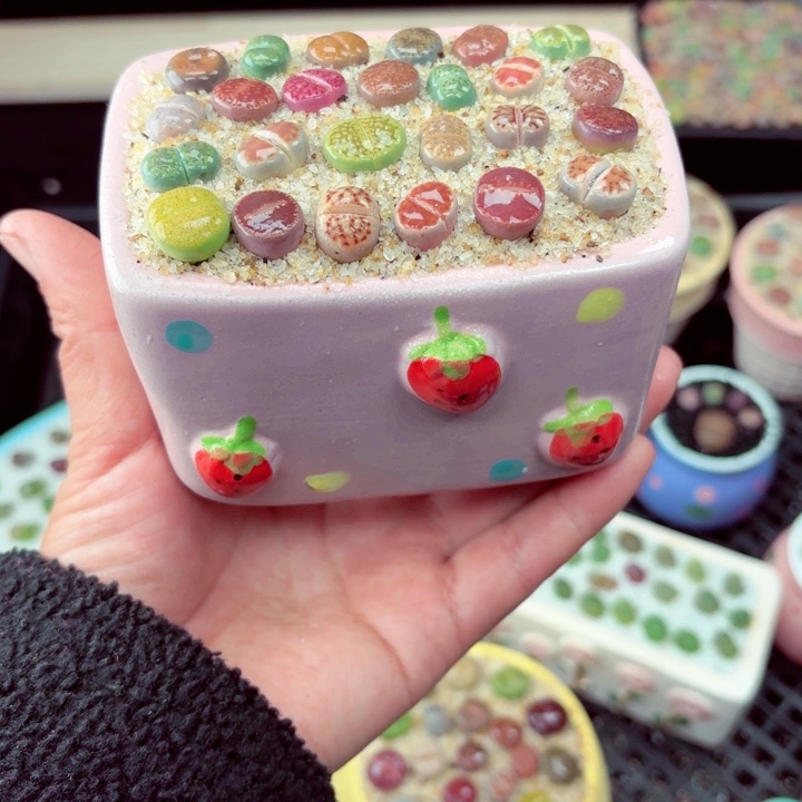 815零下地区记得拍保温箱满18包邮