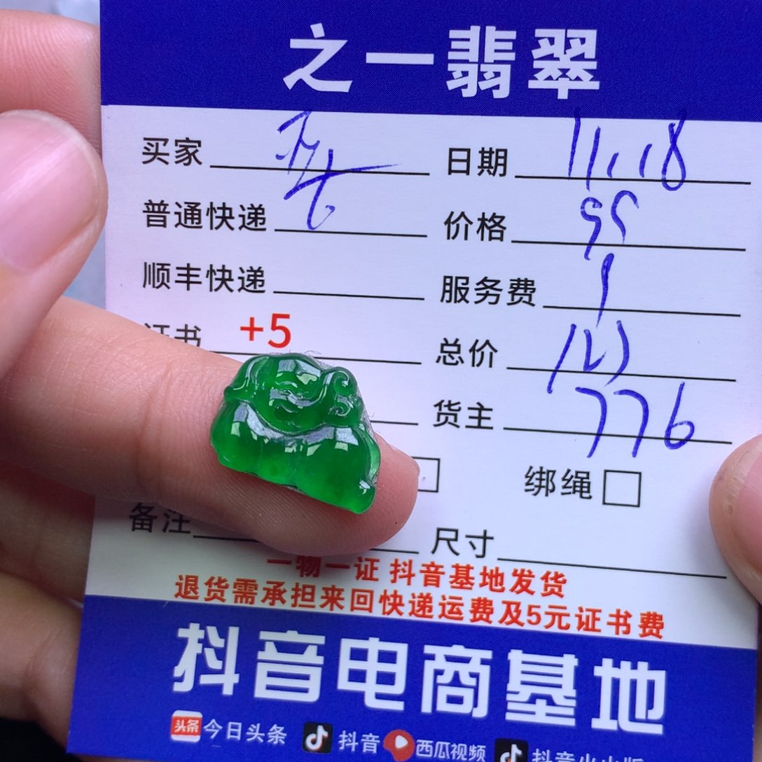 颈饰银S925镶嵌翡翠亚*