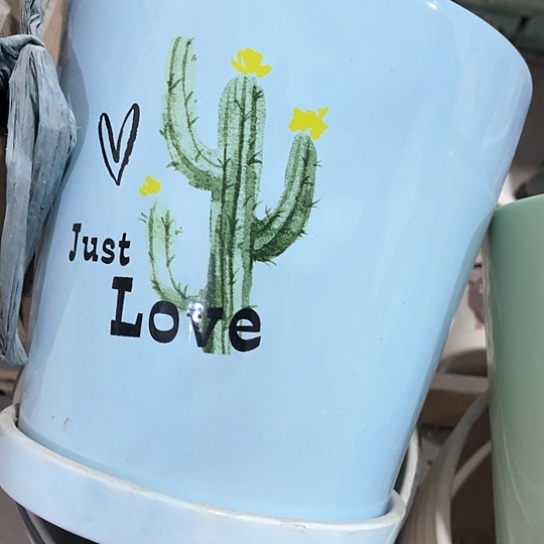 陶瓷外贸尾货多肉绿植陶瓷花盆