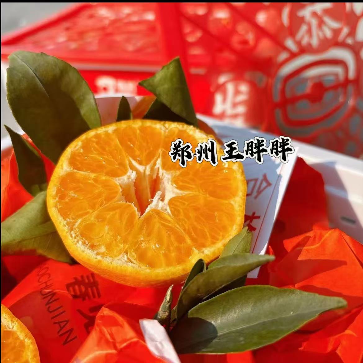 14 蜀豹 春见耙耙柑  净重4.6-4.8斤    春见，每一瓣都超级新鲜