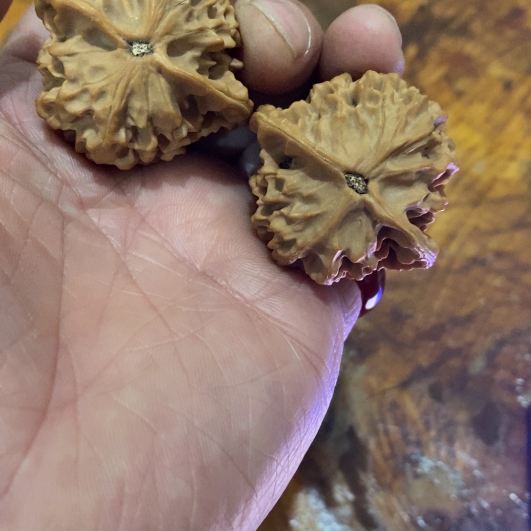 秦岭南侧和东北北部分别