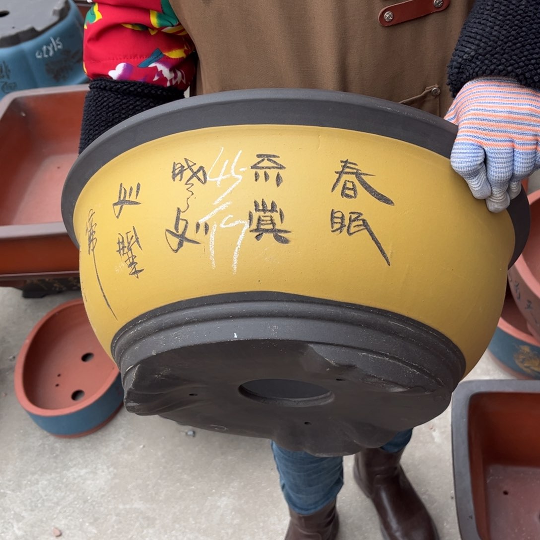 紫砂花盆盆景艺术