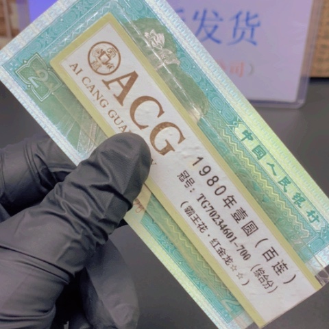 【闪购商品】黄金甲标十无4带漏白