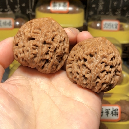 特价秒杀：水龙纹