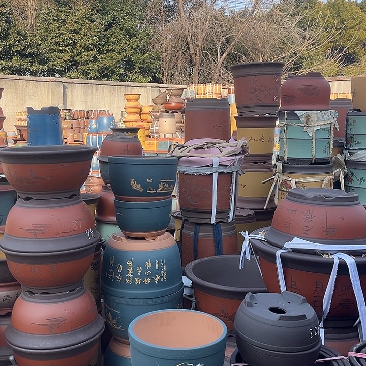 紫砂紫砂花盆盆栽