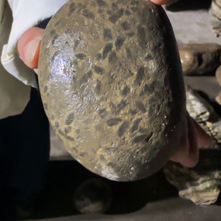 .***.益茶堂祝您生活愉快