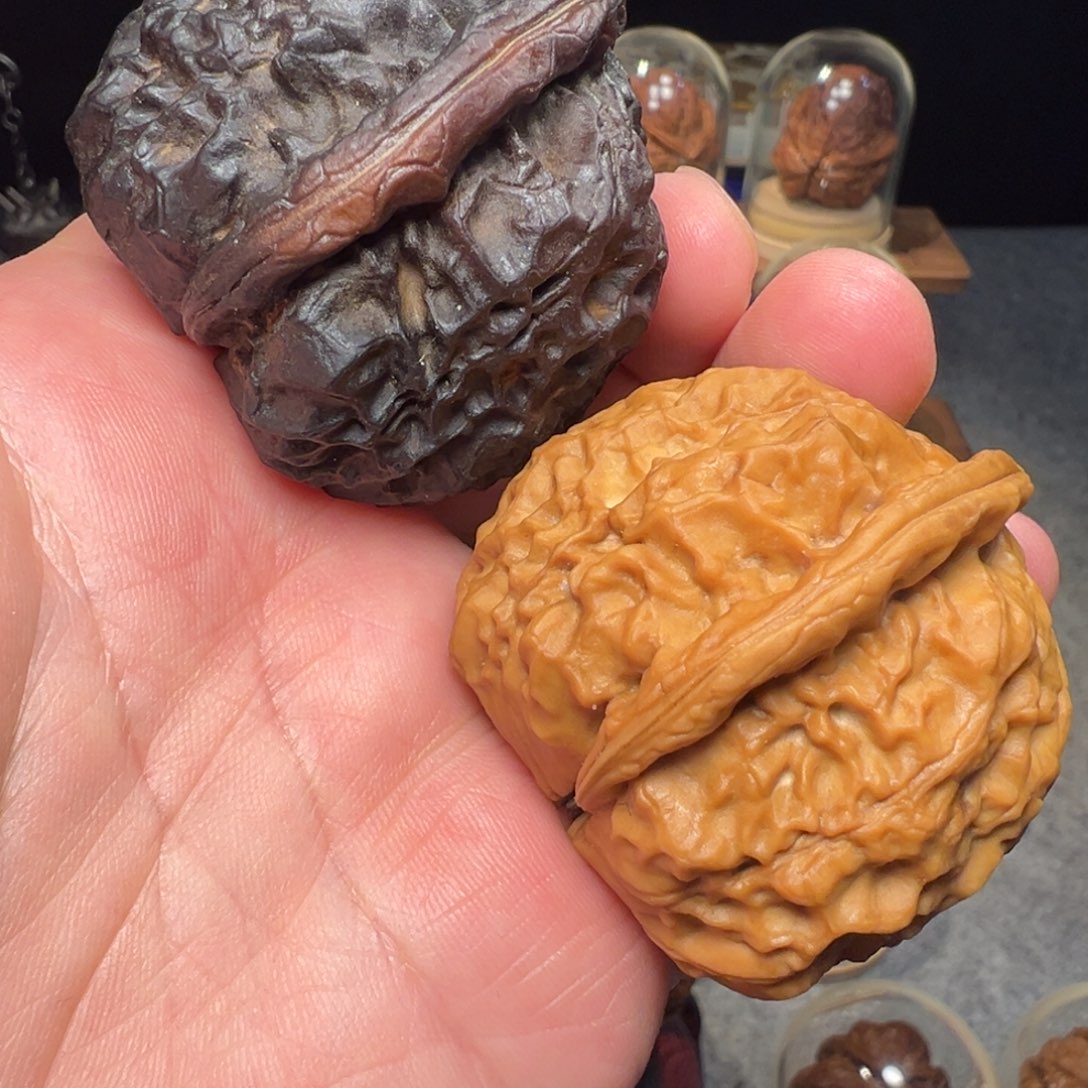 文玩核桃把件玄武48mm