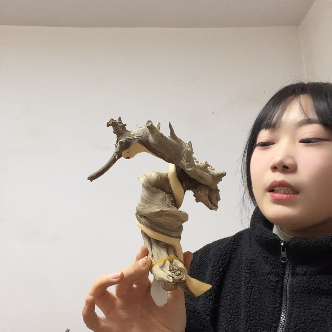 9***F柏木（崖柏）这个世界上最大限度地减少伤害